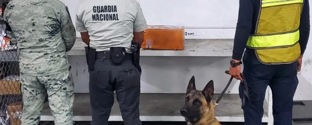 Decomiso en el Aeropuerto de Tijuana